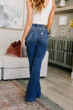 Gabriella Distressed Button Fly Flare
