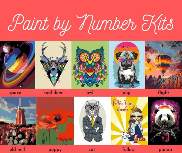 Paint By Numbers Kit