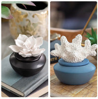Arome Porcelain Oil Diffuser