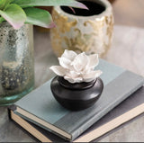 Arome Porcelain Oil Diffuser