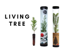 Seed Grow Kit & Live Tree
