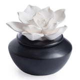 Arome Porcelain Oil Diffuser
