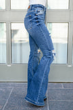 Gabriella Distressed Button Fly Flare