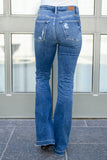 Gabriella Distressed Button Fly Flare