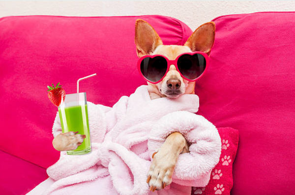 Pamper Yourself Grab Bag
