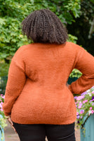 Sierra Long Sleeve Eyelash Sweater Knit Top In Rust