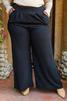 Up To Date Pleated Wide Leg Pants In Black