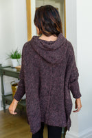 Views of Aspen Hooded Pull Over Sweater