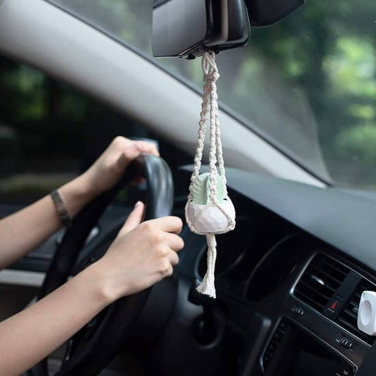Succulent Car Freshener  Basket